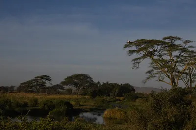 DSC_3765 (Large).JPG